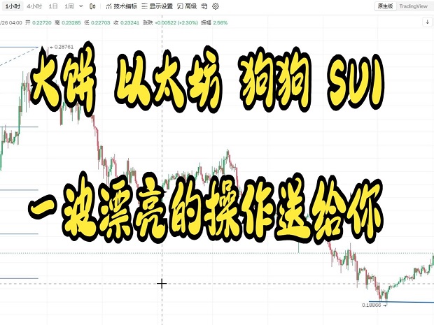 大饼狗狗|SUI一波漂亮的操作送给你